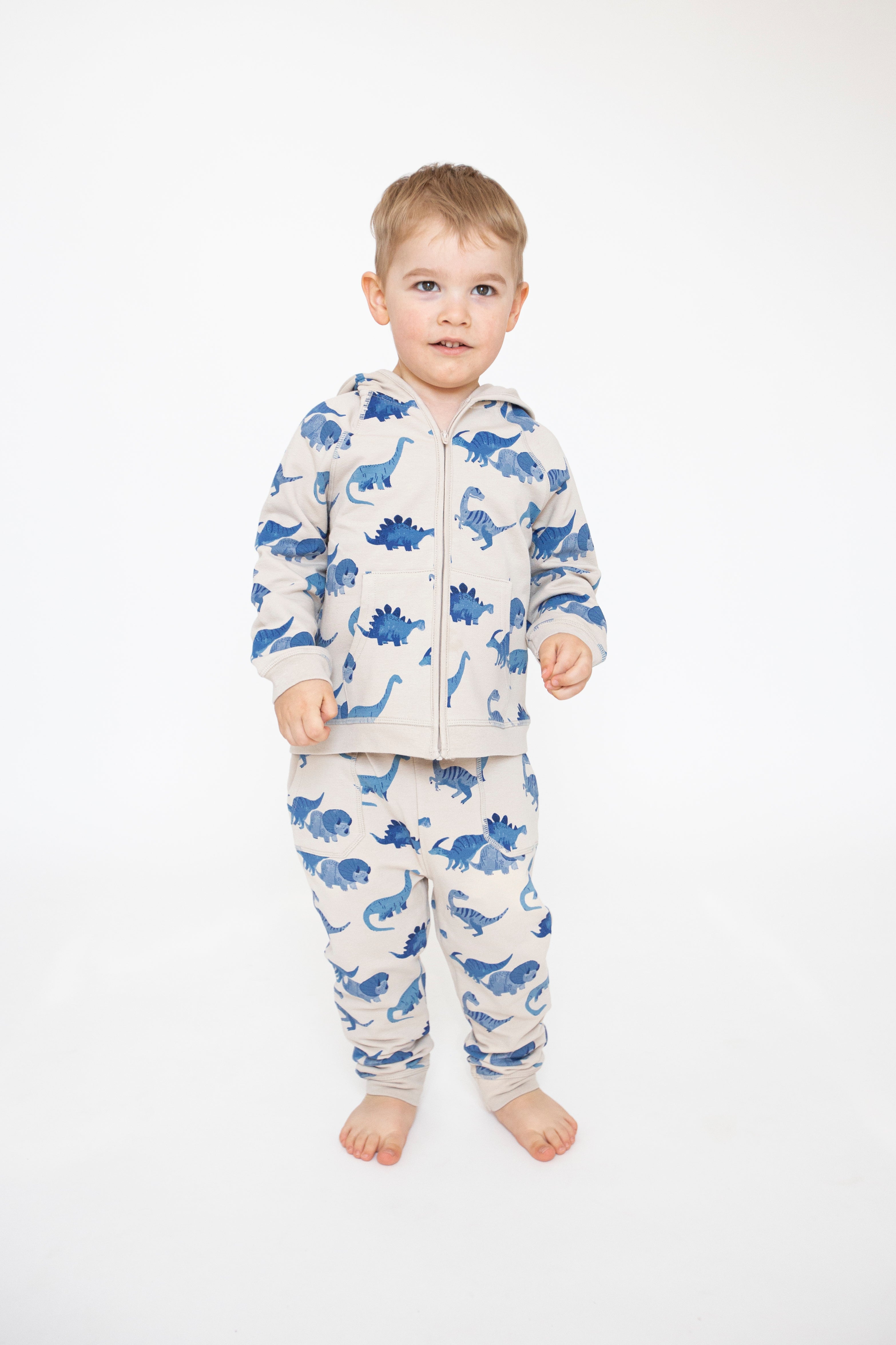 Angel Dear Dino French Terry Hoodie And Jogger