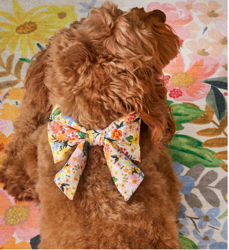 Marguerite Lady Dog Bow