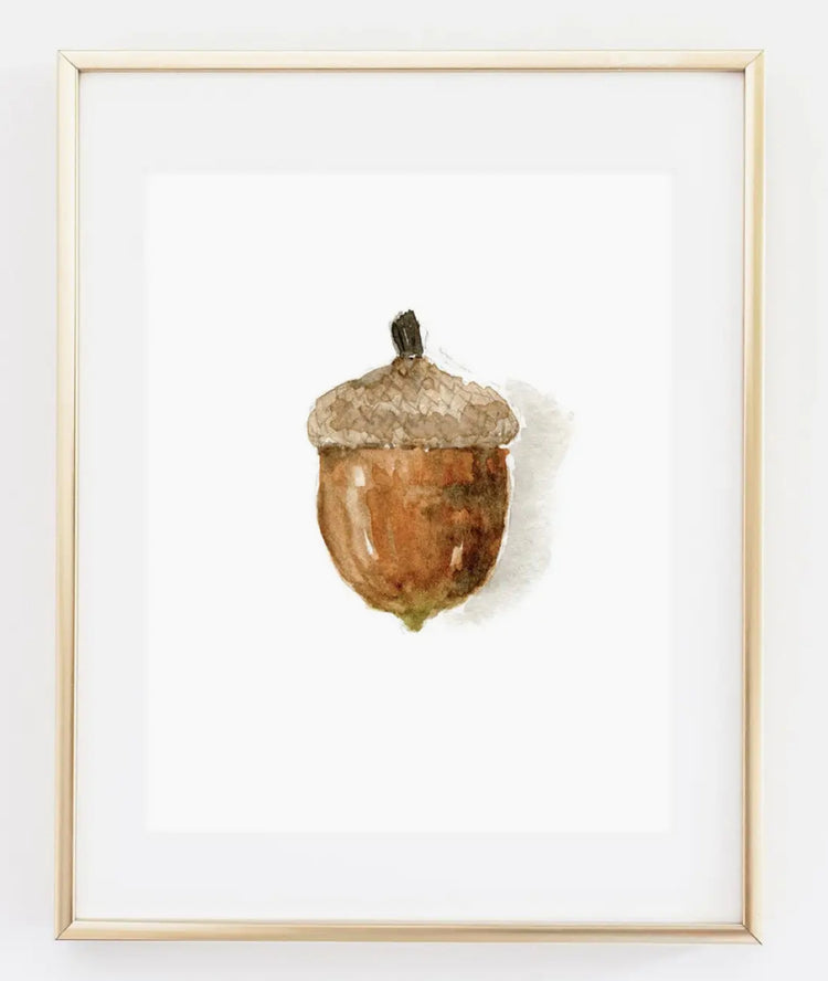 Acorn 8X10 Print