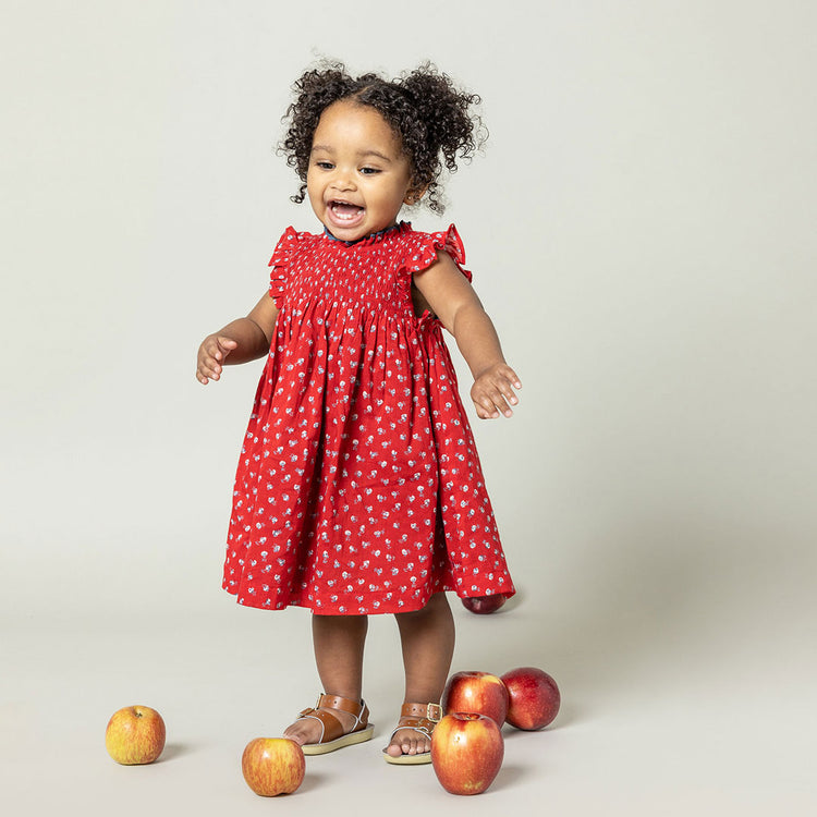 Girls Stevie Dress Tiny Red Roses