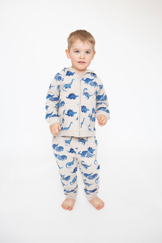 Dino French Terry Hoodie And Jogger