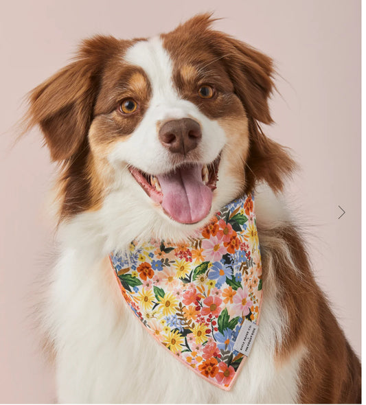 Marguerite Dog Bandana Medium