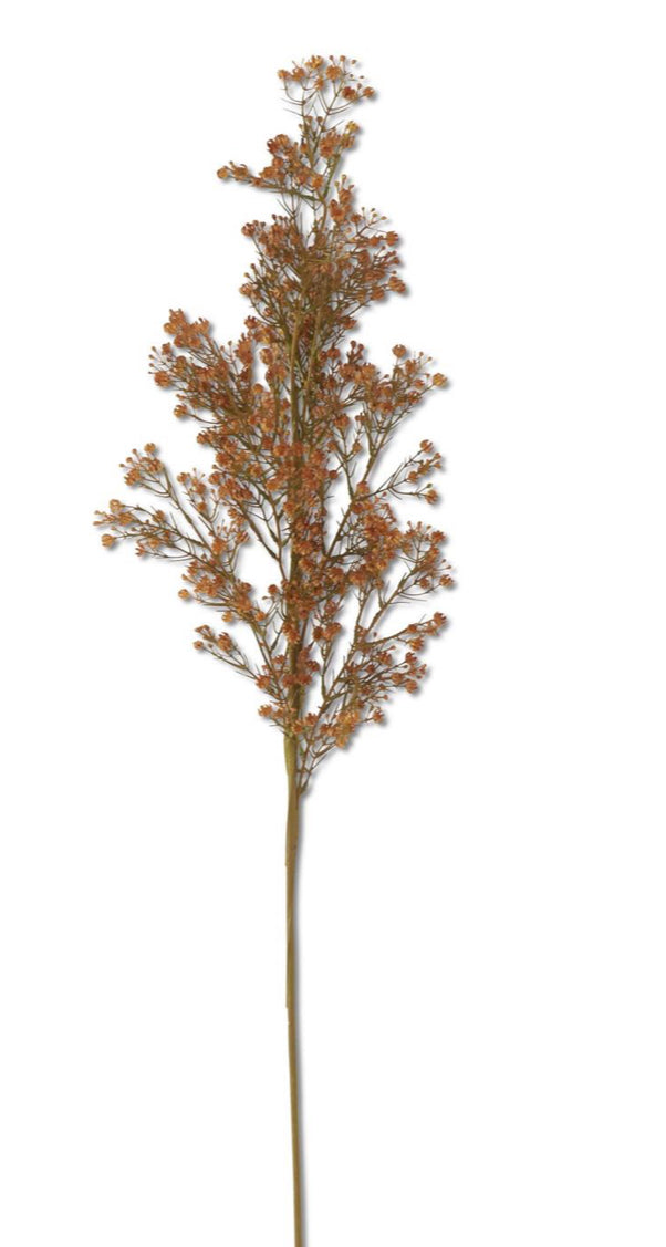 41 in Golden Brown Babies Breath Stem