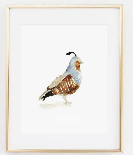 Quail 8x10  Print