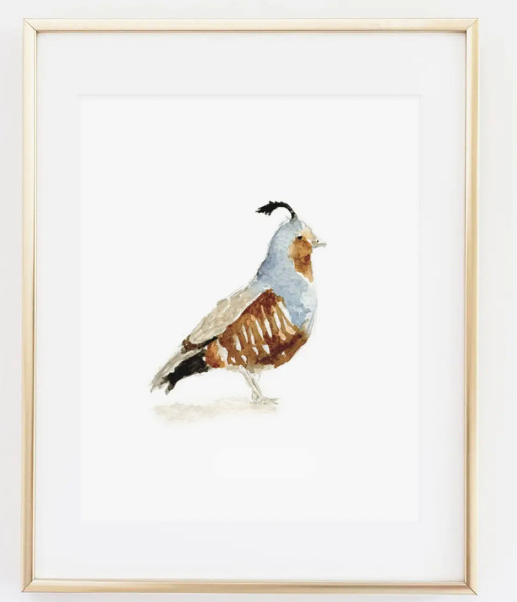 Quail 8x10  Print