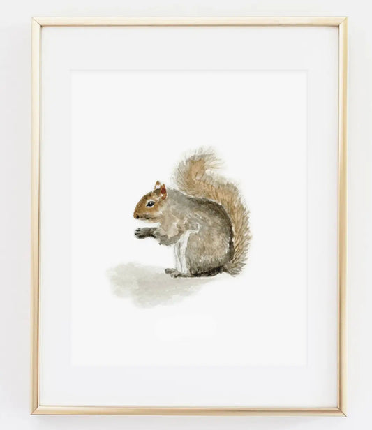 Squirrel 8x10  Print