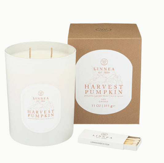 Harvest Pumpkin 2 Wick Candle