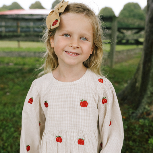 Girls Bea Dress  - Pumpkin Embroidery